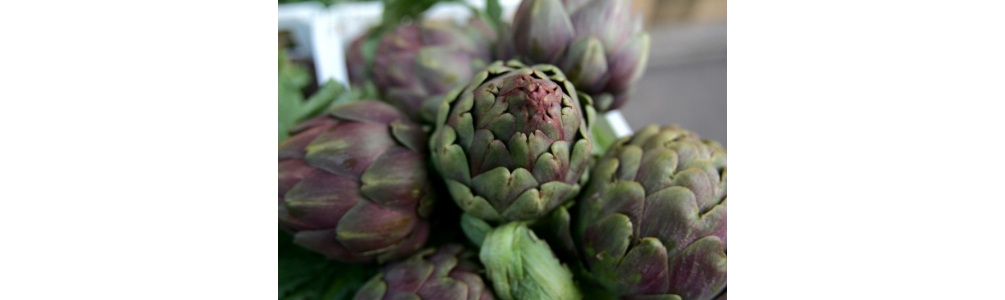 Artichokes