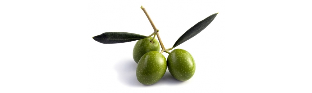 BIO Olives
