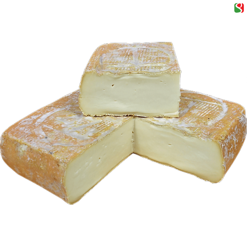 TALEGGIO DOP cheese around 2 kg Gurm.ee