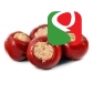 Маленький красный перец с тунцом в оливковом масле - 212 мл